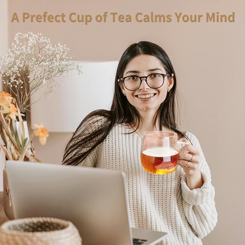 Glass Tea Cup with Infuser and Lid