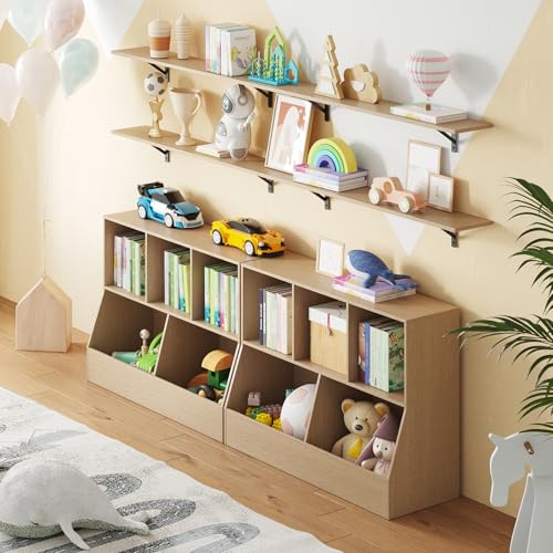 Long Wall Shelves (2 Count)