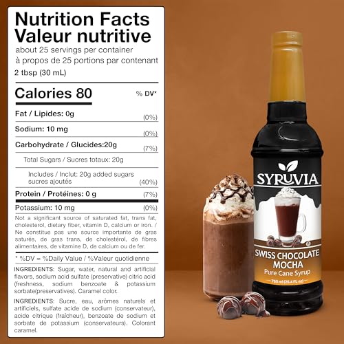 Coffee Syrup Swiss Chocolate Mocha Flavored Syrup for Drinks (25.4 Fl Oz)