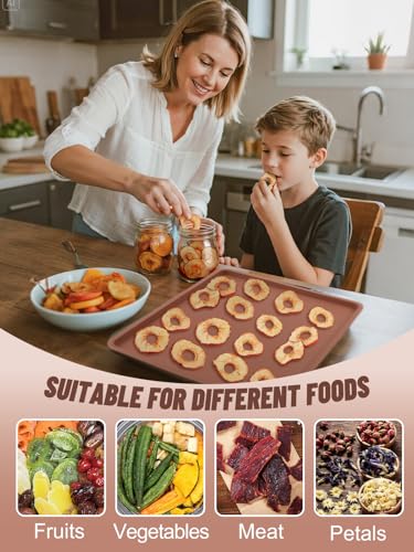 6Pcs Silicone Food Dehydrator Sheets with Edge