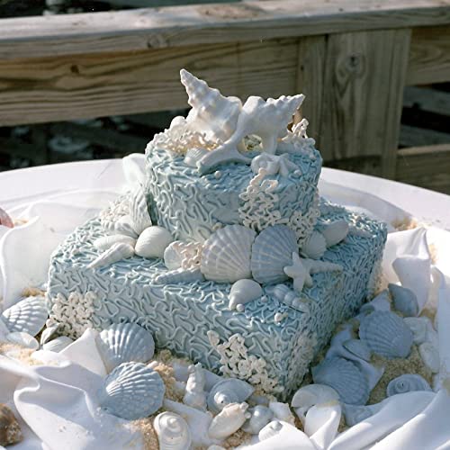Marine Theme Fondant Molds 4pcs Starfish Fondant Cake Mold (4 Count)