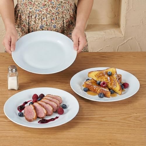10.5" Round Dinner Plates Set of 4 (4 Count)