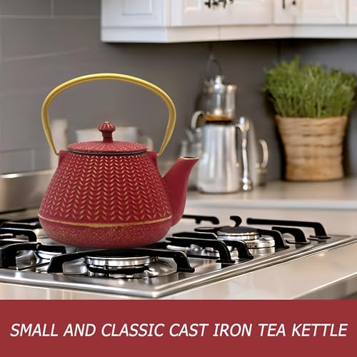 Small Cast Iron Tea Kettle for Stovetop Safe