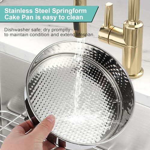 10 inch Stainless Steel Springform Pan with Silicone Protector