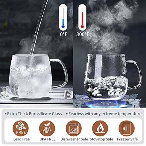 Glass Tea Cup with Infuser and Lid