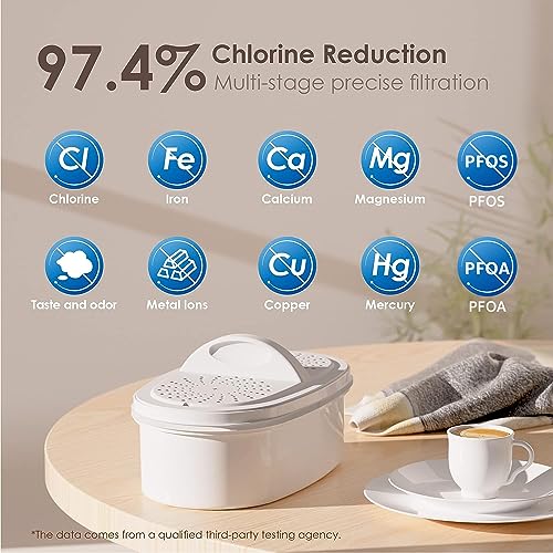 PT-04B 10-Cup Water Filter Pitcher with 4 Filters, NSF Certified (2 Count)