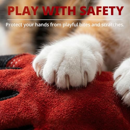 Animal Handling Gloves Size M Fit for Women & Small Hands Bite Proof Double Leather Reinforced Padding Dog