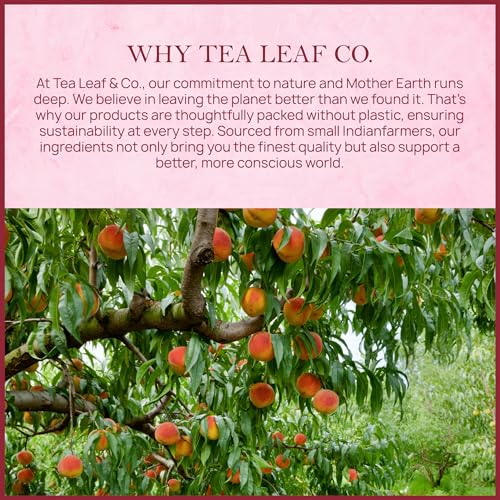 Tealeaf & Co. Peach Ginger Tea Blended with Organic Spices (7.055 Ounce)