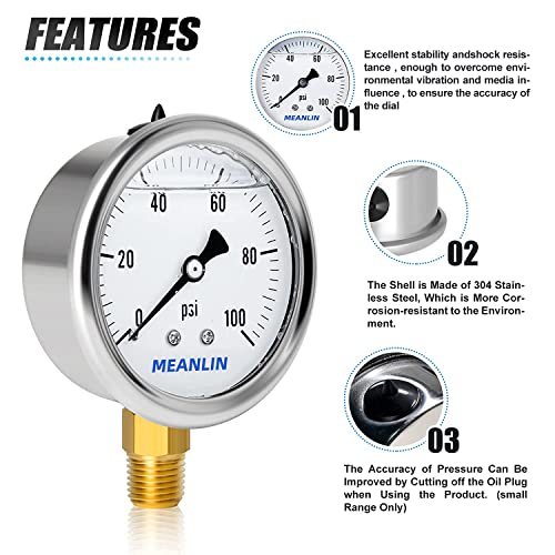 0~100Psi Stainless Steel 1