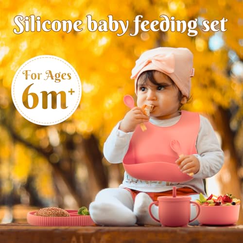Silicone Baby Feeding Set 10 Pcs (10 Count)