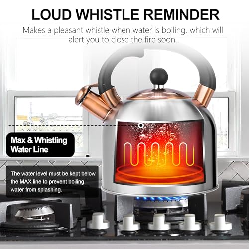 Tea Kettle 3.17QT Stainless Steel Whistling Tea Pot