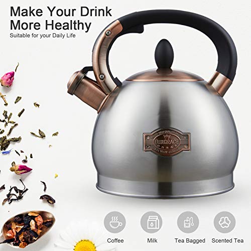 Tea Kettle 2.8 Quart Tea Kettles Stovetop Whistling Teapot Stainless Steel Tea Pots for Stove Top Whistle Tea Pot