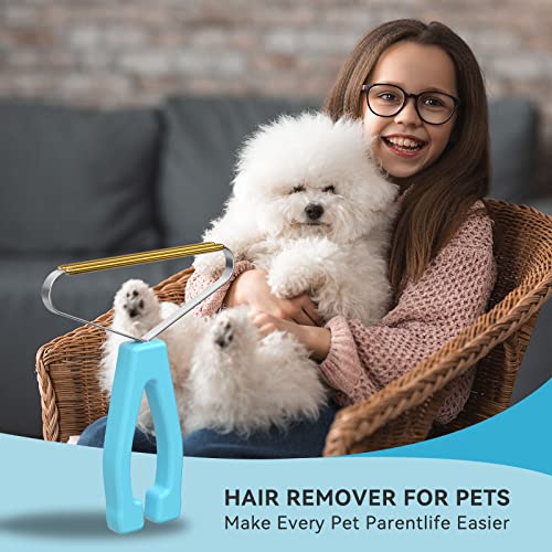Pet Hair Remover (2 Count)