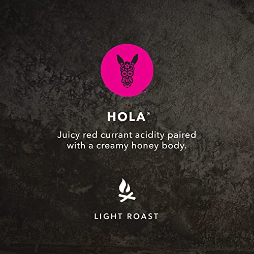 Coffee Hola Light Roast (60 Ounce)
