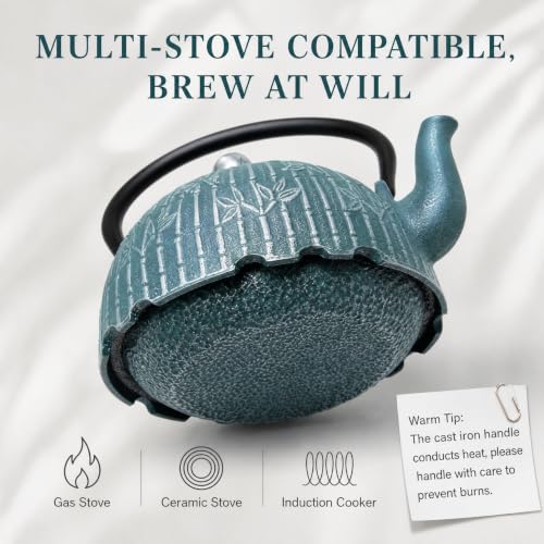 40.6oz Cast Iron Tea Kettle for Stove