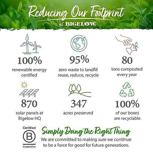 I Love Lemon with Vitamin C Herbal Tea (120 Count)