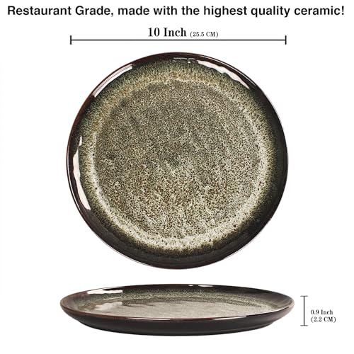 Ceramic Dinner Plates Dish Set (4 Count)