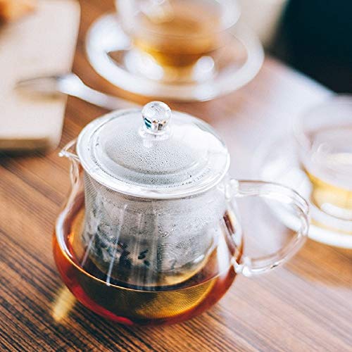 Leaf Tea Pot with Stainless Steel Filter