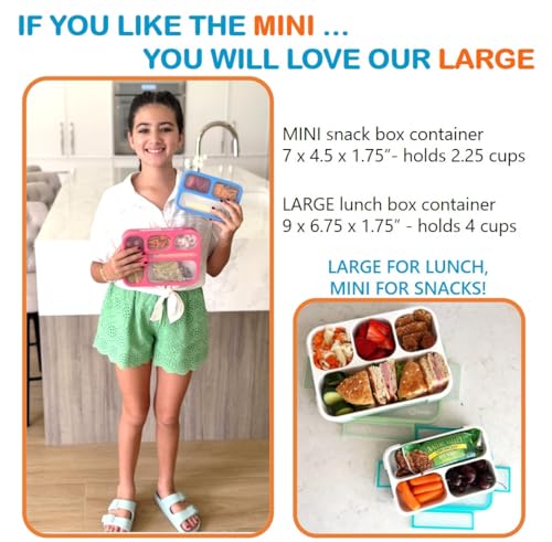 Snack Container Boxes for Kids Toddlers (2 Count)
