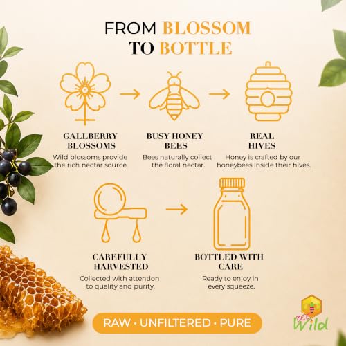 100% Pure Gallberry Honey (12 Ounce)