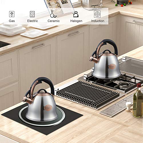 Tea Kettle 2.2 Quart Tea Kettles Stovetop Whistling Teapot Stainless Steel Tea Pots for Stove Top Whistle Tea Pot (2 Count)