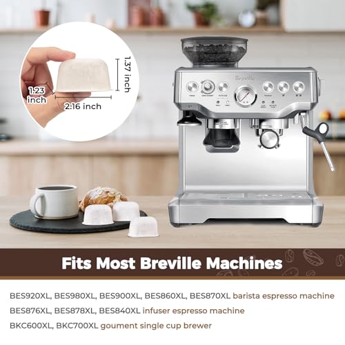 12 Pack Resin Water Filters for Breville BWF100 (12 Count)