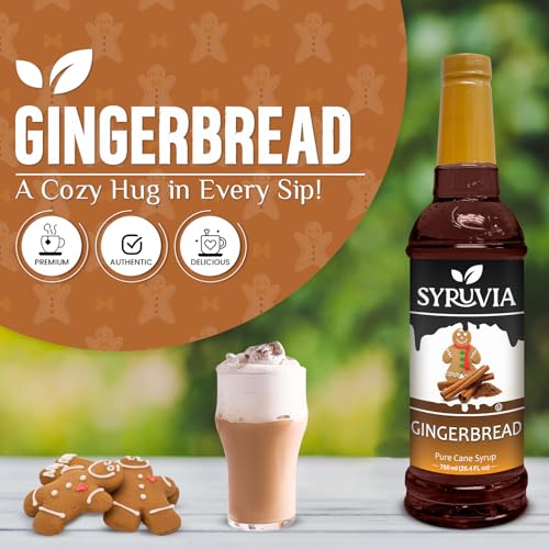 Coffee Syrup Gingerbread Flavored Syrup for Drinks (25.4 Fl Oz)