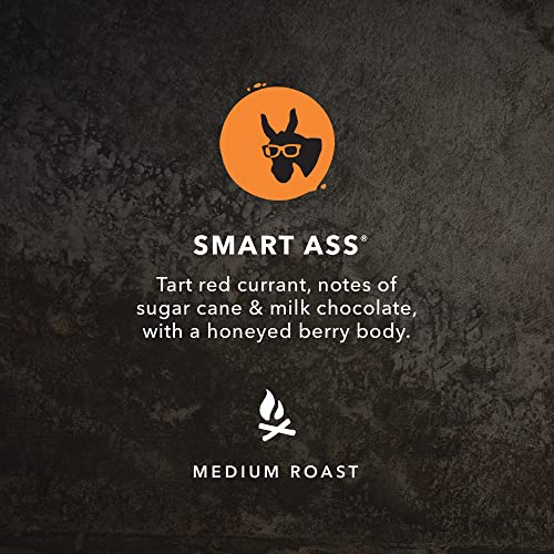 Coffee Smart Ass (35.2 Ounce)