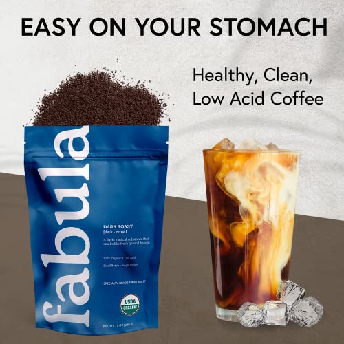 Coffee Cold Brew Freshly Ground (12 Ounce)