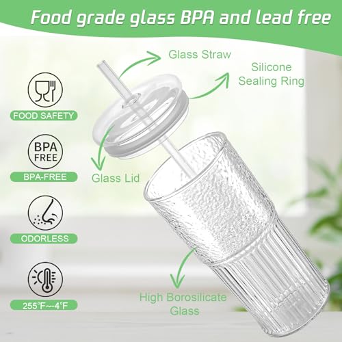 Glass Cups with Lids and Glass Straws (2 Count)