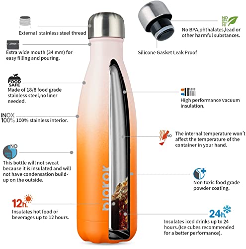 17 oz Insulated Water Bottle