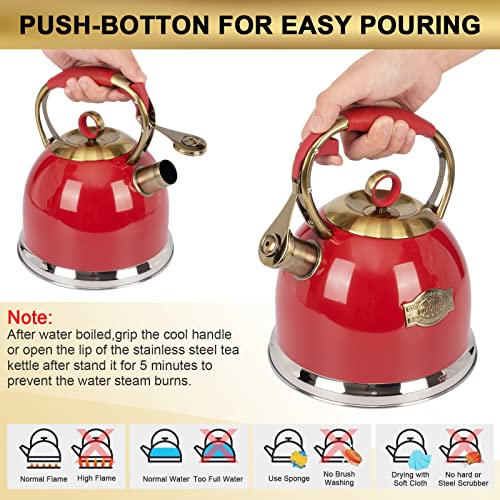 Tea Kettle Stovetop Whistling Teapot
