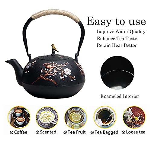 Cast Iron Teapot SECHUDO Teapot for Stovetop Safe Coated with Enameled Interior