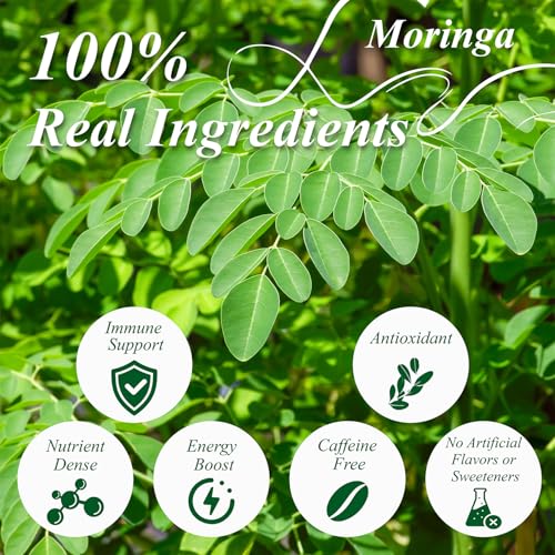 Moringa Tea Bags 100ct (100 Count)