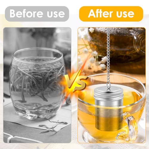 6 Pack Tea Infusers for Loose Tea (6 Count)