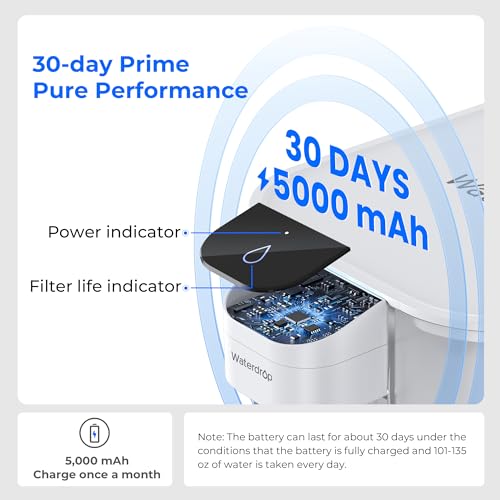ED04W L Mega Electric Water Filter Dispenser