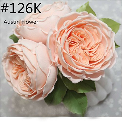 5 piece Stainless Steel Rose Flower Piping Tips Piping Nozzles Cake Decorating Supplies Cookies Cupcake Icing Decorating Supplies Decorating Kits Frosting Icing Tips Baking Set Tools #4 (5 Count)