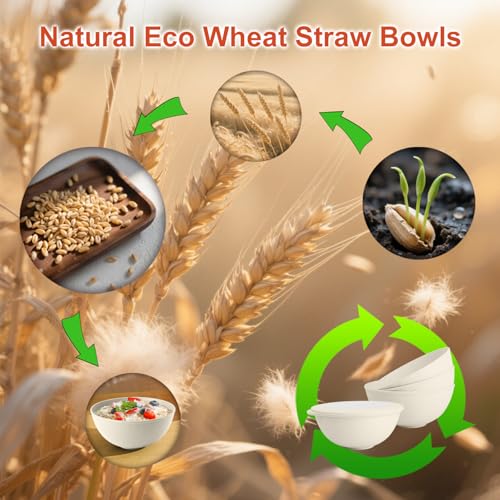 Wheat Straw Bowls with Lids Set of 4
