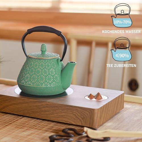 Cast Iron Teapot