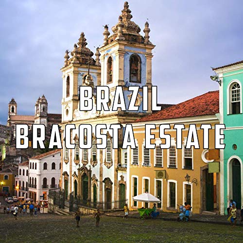 Brazil Coffee (16 Ounce)