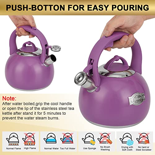 Tea Kettle for Stovetop