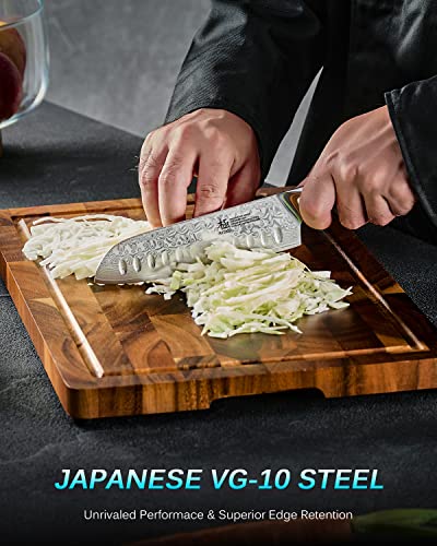 Gin Series 7" Santoku Knife
