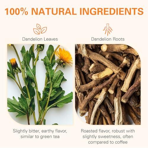 Dandelion Leaf & Root Tea Bags 100ct (100 Count)