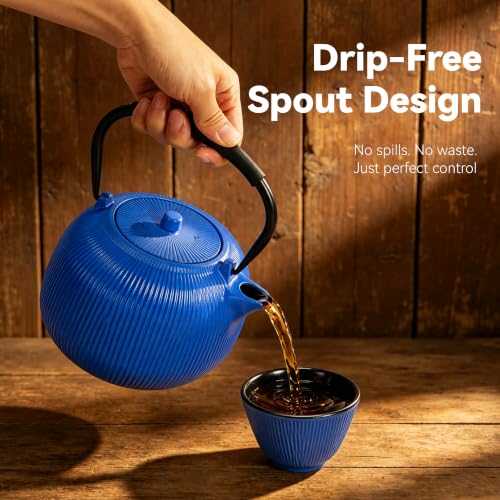 Cast Iron Teapot Set with 2 Cups