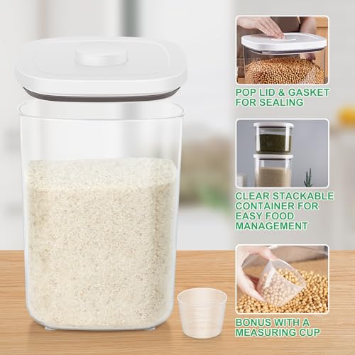 Large Flour Storage Container 10.56 Qt