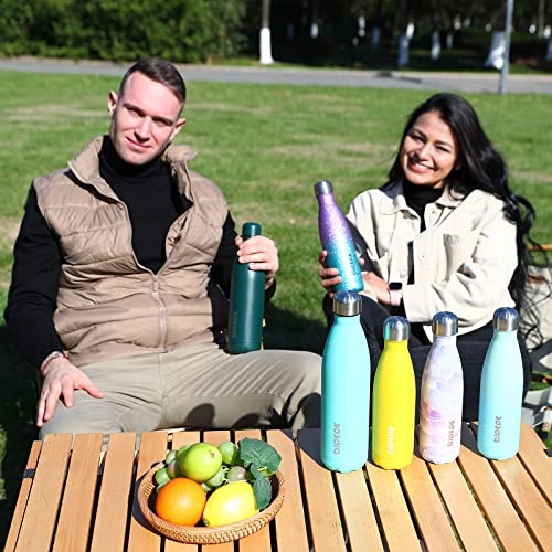 17 oz Insulated Water Bottle