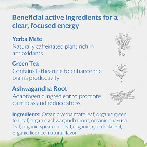 Wellness Organic Tea Blend Variety Box (12 Count)