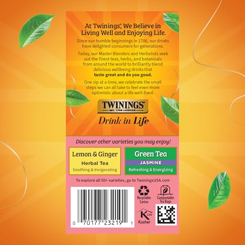 Raspberry & Lemon Herbal Tea Bags 20 CT Box (120 Count)