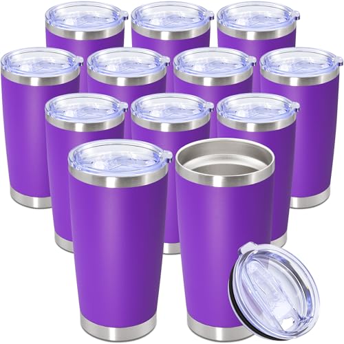 20oz Tumbler Stainless Steel Tumbler Coffee Tumbler with Lid Purple