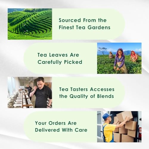 Tulsi Ashwagandha Green Tea Bags (50 Count)